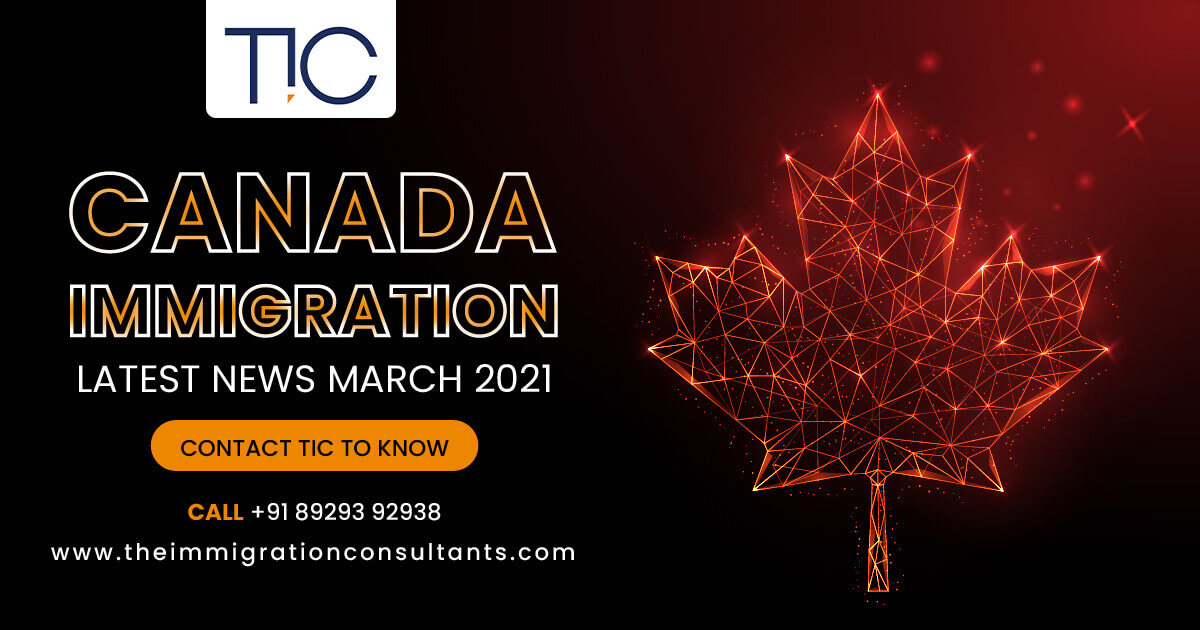 The Immigration Consultants
