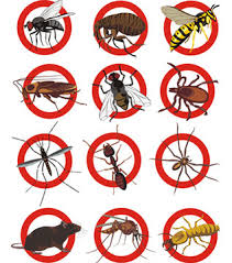 Hill Pest Operations And Consultant
