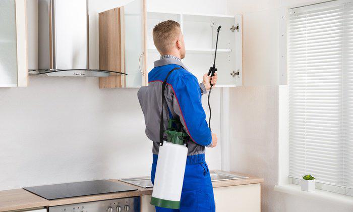 Pragya Pest Control Services  Prayagraj