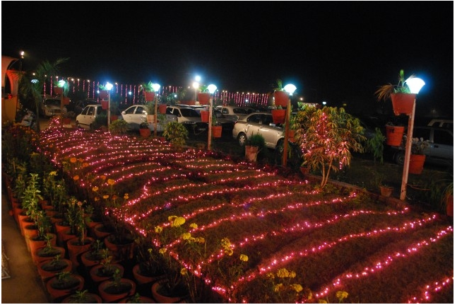  Nine Palms Garden