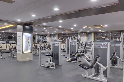 Stallon Gym