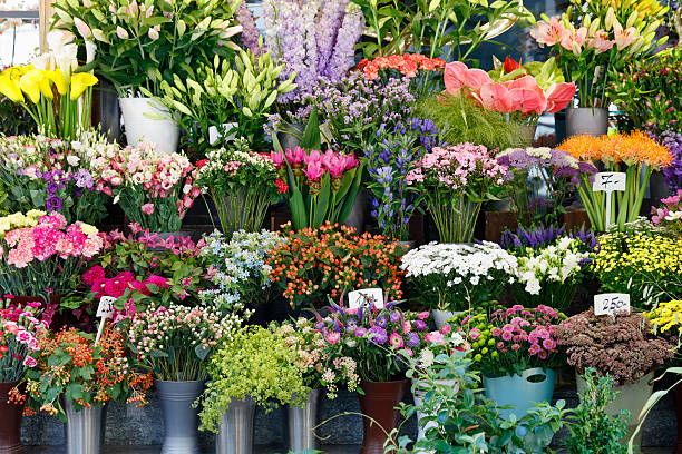 KKK Floral Concepts