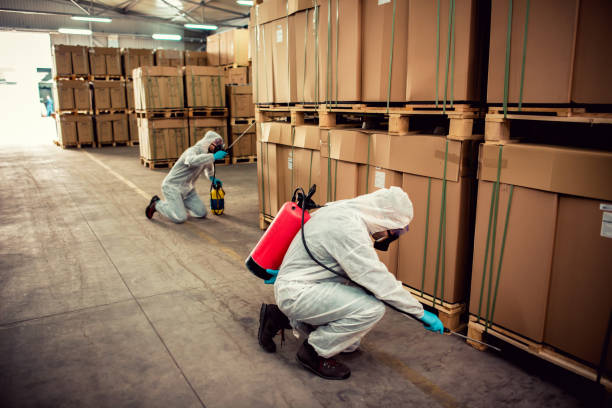 Rapid Pest Control India