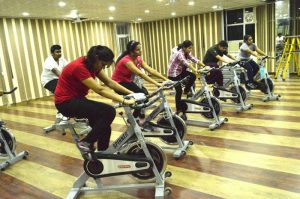 Bull's Gym