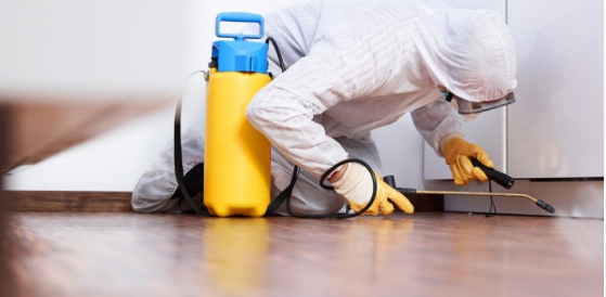 Vedant pest control