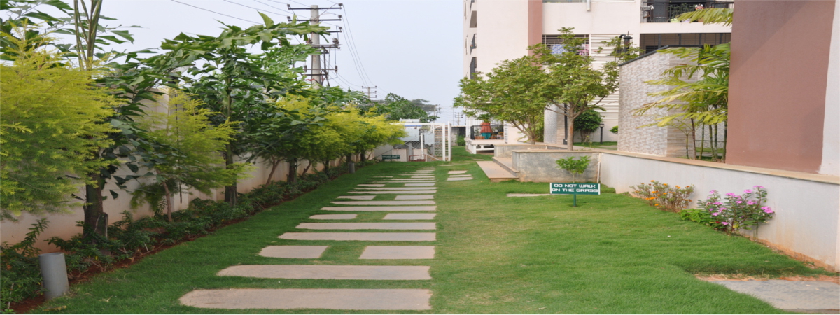 ATZ properties