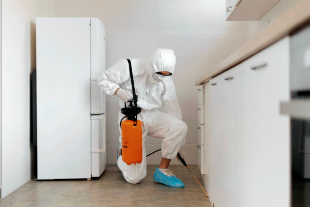 PEST CONTROL CURE