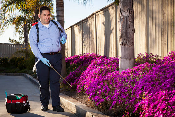 Vazir Pest Control - Sayajigunj