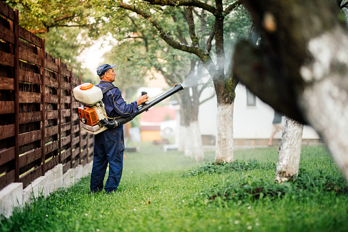 Hindustan Pest Control Services, Rajkot