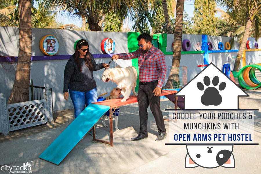 open arms pet hostel