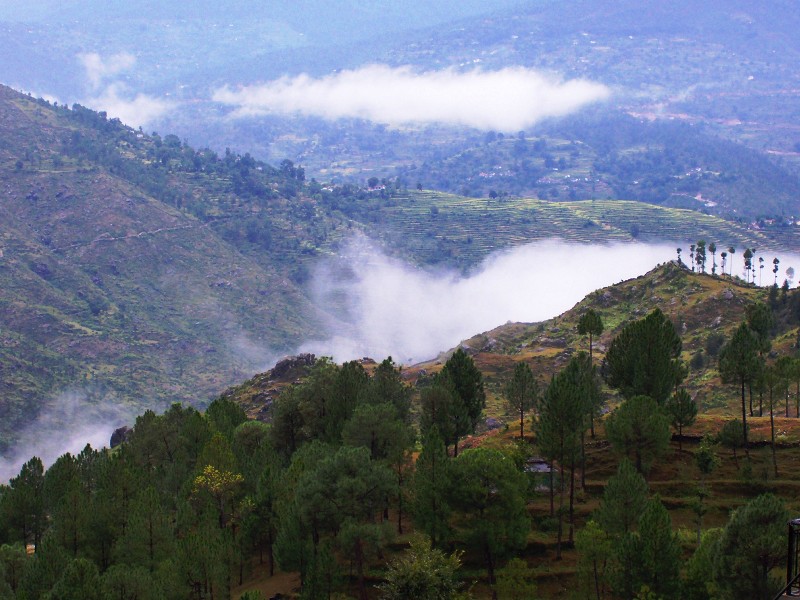 Uttrakhand Community (Photographer In Almora)