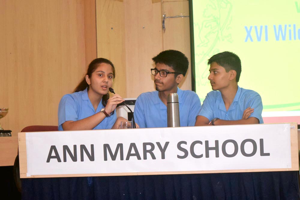 Ann Mary School