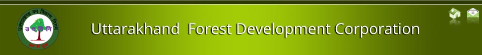 Divisional Logging Manager, Haridwar