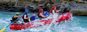 Go Green adventure