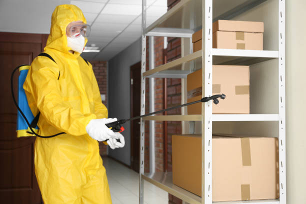 Gujarat Pest Control Services