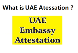 Uae Embassy Attestation In Mumbai