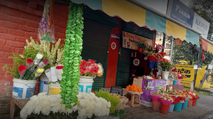 Green petals florist dehradun