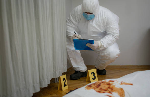 Trap Pest Solutions