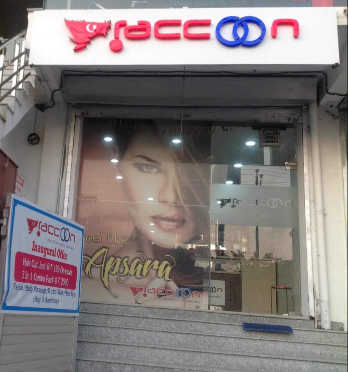 Raccoon The Ultimate Salon Experience 