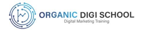 Organic Digi School