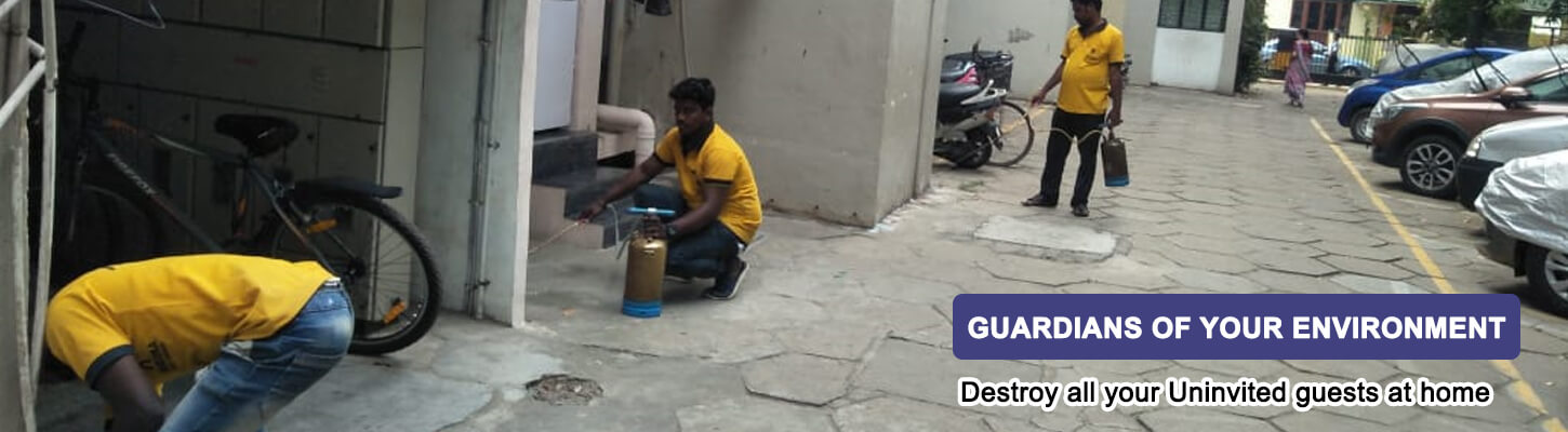 SUGUNA PEST CONTROL - Chennai