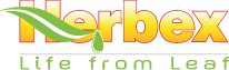 Herbex Pharma - Haldwani