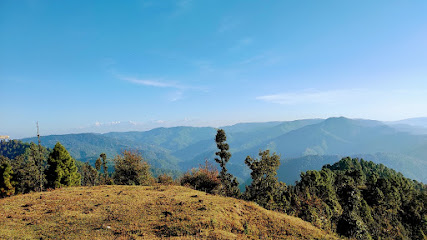 PUSHKAR TAXI SERVICE - Nainital