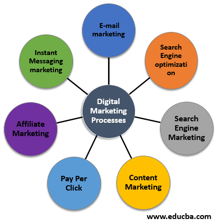 Web desginer developer uttarkashi