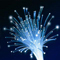 Cify Data Services P. Ltd.- Haridwar