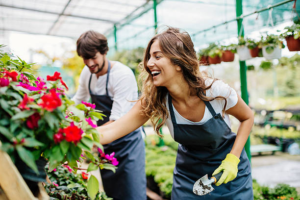 Ardhya florist