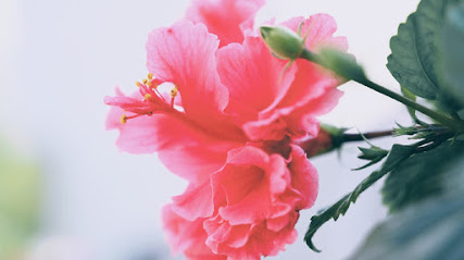 Navi Photography - Nainital
