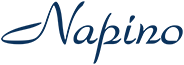 Napino Auto & Electronics Ltd. Sidcul Haridwar