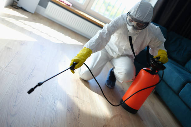 Sai baba pest control