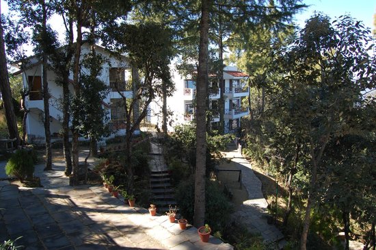 Kasaar Jungle Resort