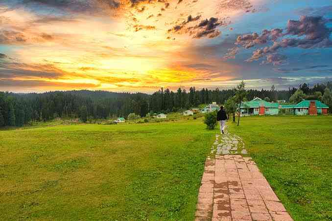 Inaaya tour and travels